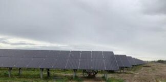 Adr inaugura l’impianto Solar Farm, 55mila pannelli lungo 2,5 km