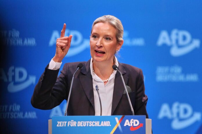 AfD vuole la Germania fuori dall’euro: “E usciremo da Schengen”