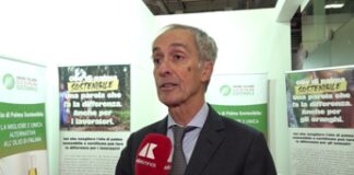 Alimenti, Tapella (Un. Olio palma sostenibile): “Importante far conoscere l’olio sostenibile, certificato e sicuro”
