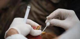 Aviaria, -94% carica infettiva virus H5N1 con onde elettromagnetiche, lo studio