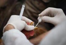 Aviaria si diffonde in Ue, 60 focolai in 3 settimane. Ciccozzi: “Colpa degli allevamenti intensivi”