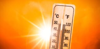 Caldo, l’allarme dei sindacati: “Emergenza incidenti per lavoratori, serve legge ad hoc per stop in ore più torride”