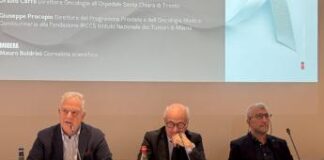 Cancro prostata, Aifa approva olaparib con terapia ormonale in prima linea
