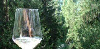 Codice della strada: bottiglie take away e più taxi, i Consorzi del vino in campo per un bere responsabile