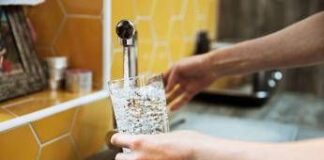 Dall’acqua potabile a frutta e verdura, i rischi invisibili del clorato