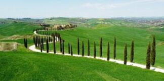 Elon Musk cerca casa in Toscana, due i castelli che hanno sedotti il miliardario