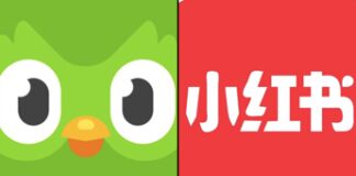 Esodo da TikTok a RedNote, e tutti studiano cinese su Duolingo