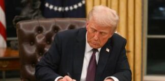 Gaza, il piano di Trump per la fine della guerra: la tregua non basta