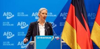 Germania, Alice Weidel eletta candidata cancelliera Afd