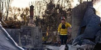 Incendi California, Los Angeles conta i danni: da Lady Gaga a Sting, le star in concerto per le vittime