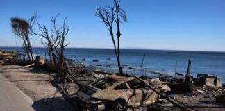 Incendi California, Trump all’attacco: lotta contro natura si trasforma in battaglia politica
