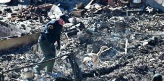 Incendi Los Angeles, 24 morti e emergenza continua