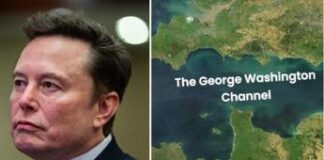 Musk cambia nome alla Manica: “E’ il canale George Washington”
