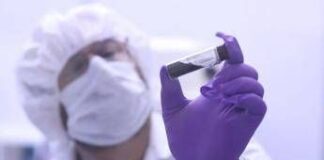 Scoperta epocale su Bennu, molecole chiave per la vita e tracce di acqua salata