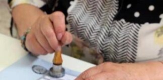 Sondaggi politici, Fratelli d’Italia e Pd giù. Crescono M5S, Lega e Forza Italia