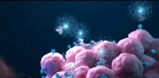 Tumori, ok Aifa a primo radioligando per cancro prostata metastatico resistente