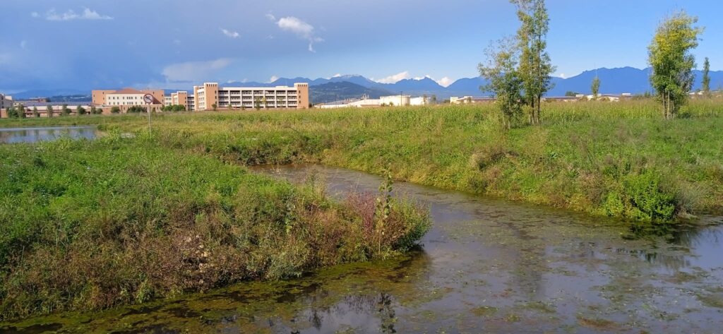 Uno scorcio del Parco della Pace a Vicenza, sullo sfondo la Caserma Del Din
