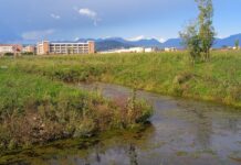 Parco della Pace di Vicenza: focus col Coordinamento Comitati su stato dell’arte e prospettive di cui il 30 si discute in Consiglio Comunale Uno scorcio del Parco della Pace, sullo sfondo la Caserma Del Din