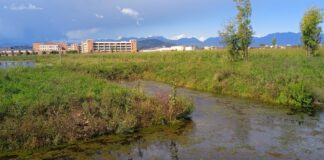 Parco della Pace di Vicenza: focus col Coordinamento Comitati su stato dell’arte e prospettive di cui il 30 si discute in Consiglio Comunale Uno scorcio del Parco della Pace, sullo sfondo la Caserma Del Din