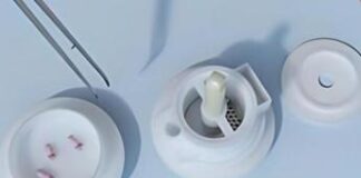 Violato brevetto biotech, sequestrati centinaia di dispositivi pericolosi per la salute in tutta Europa