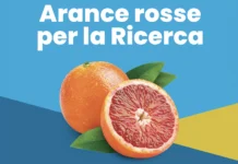 Tornano le “Arance rosse per la ricerca” per sostenere la lotta contro il cancro: iniziative nei punti vendita Despar arance rosse