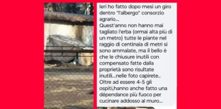 Ex Consorzio Agrario di Vicenza, nuove segnalazioni di degrado ex consorzio agrario vicenza segnalazione copertina