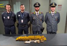 Gdf Venezia: sequestrati 6,5 chili di eroina all’aeroporto Marco Polo guardia di finanza venezia aeroporto eroina