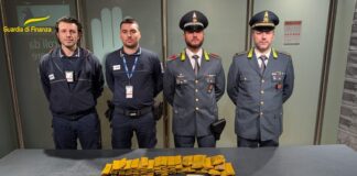 Gdf Venezia: sequestrati 6,5 chili di eroina all’aeroporto Marco Polo guardia di finanza venezia aeroporto eroina