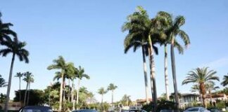 1000 Miglia Experience Usa, oggi verifiche e training a Miami: domani gara