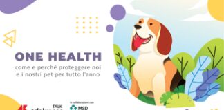Animali, domani alle 11 il talk per proteggere dalle zecche noi e nostri animale