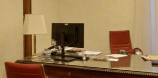 Biancofiore ‘brucia’ tutti: il suo carlino Puggy è il primo cane in Senato