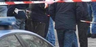 Bimba sbranata da pitbull, il papà indagato per omicidio colposo