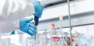 Cancro polmone, svelato il segreto di una risposta duratura all’immunoterapia