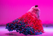 Danza in Rete Festival, Cenerentola apre l’ottava edizione Danza in Rete Festival