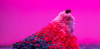 Danza in Rete Festival, Cenerentola apre l’ottava edizione Danza in Rete Festival