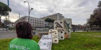 Cop16, Greenpeace in azione: “Se cade la natura, casca il mondo”