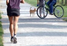 Correre pianissimo fa bene al cervello, lo studio a sorpresa