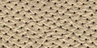 Dispositivi piezoelettrici biodegradabili per la medicina del futuro