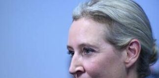 Germania, chi è Alice Weidel: leader di Afd che ambisce a un ruolo nel governo Merz