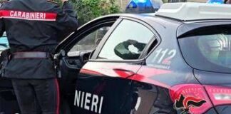 Gioia Tauro, scoperto arsenale sottoterra: armi da guerra e droga a oltre due metri di profondità