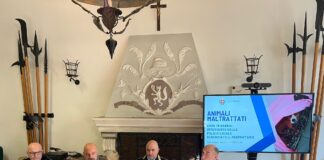 Vicenza, la polizia locale salva un cane maltrattato. Denunciato il proprietario Cane maltrattato, la conferenza dedicata al salvataggio da parte della polizia locale di Vicenza