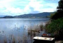 Lago Trasimeno, è crisi senza precedenti: “Interventi straordinari per salvarlo”