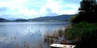Lago Trasimeno, è crisi senza precedenti: “Interventi straordinari per salvarlo”