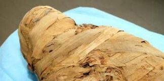 Legnoso e dolce-piccante, ecco il profumo di Tutankhamon: scoperto odore mummie egiziane