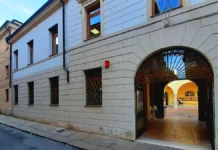 Caso Pigafetta, arriva in Parlamento  interrogazione dell’on. Rachele Scarpa. Intanto a Vicenza gli studenti chiedono calma, i politici no studente aggredito pigafetta caso in parlamento