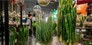 Myplant & Garden, edizione 2025 da record: focus su mercati e dossier comparto verde
