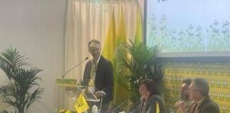 Piante e fiori made in Italy da record, nel 2024 toccati i 3,3 mld di euro