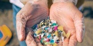 Salute, così le microplastiche minacciano la fertilità delle donne, lo studio