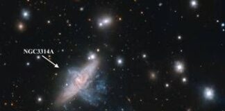 Scoperta inattesa sulla rotazione stellare delle galassie ultra diffuse