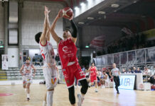 Basket, Civitus Vicenza vince e sorpassa Imola, mercoledì arriva Faenza. Ghirelli: “Ottimo lavoro in difesa” civitus vicenza batte imola